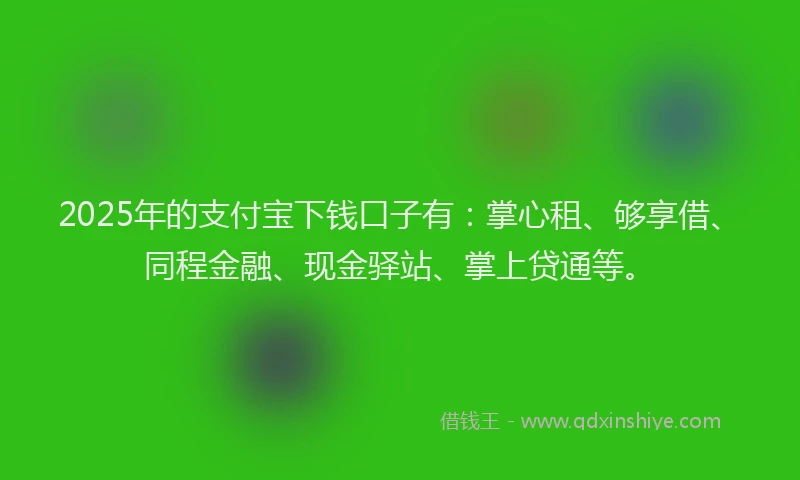 2025年的支付宝下钱口子有：掌心租、够享借、同程金融、现金驿站、掌上贷通等。