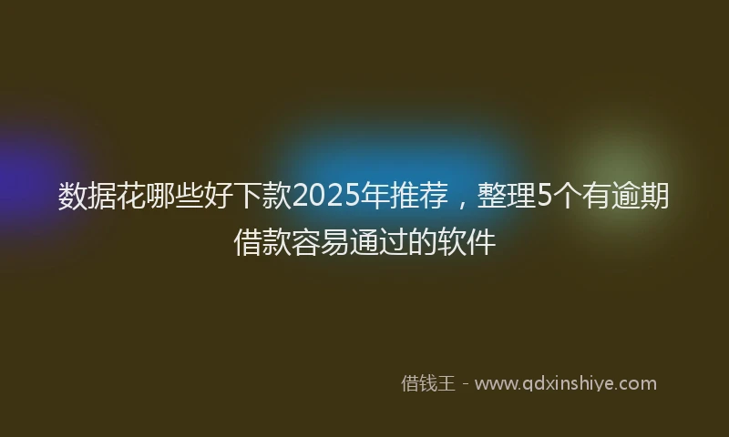 数据花哪些好下款2025年推荐，整理5个有逾期借款容易通过的软件