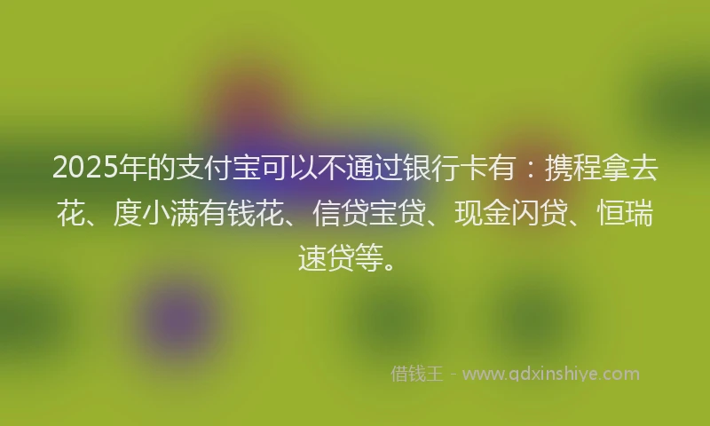 2025年的支付宝可以不通过银行卡有：携程拿去花、度小满有钱花、信贷宝贷、现金闪贷、恒瑞速贷等。
