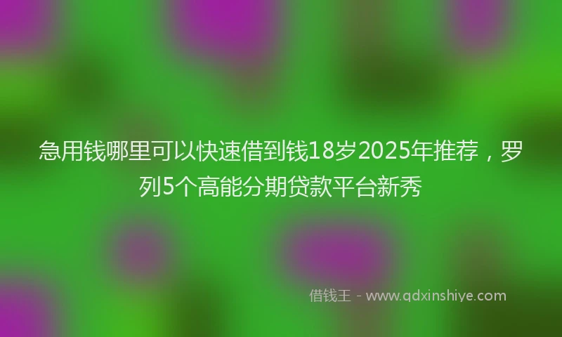 急用钱哪里可以快速借到钱18岁2025年推荐，罗列5个高能分期贷款平台新秀