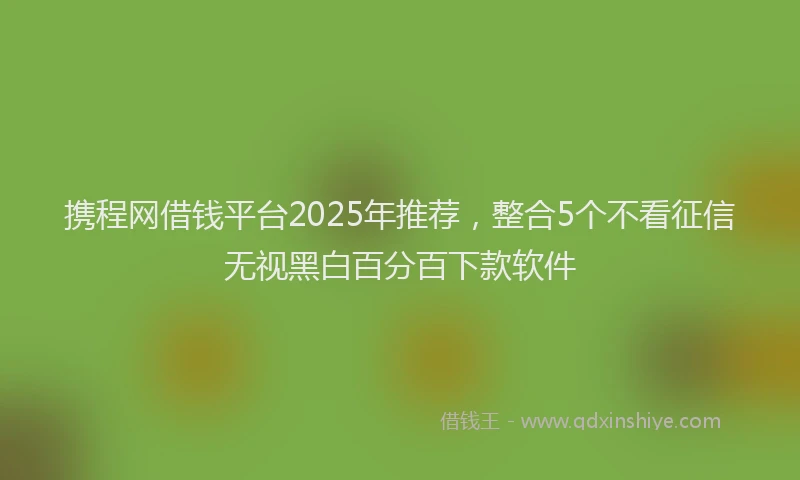 携程网借钱平台2025年推荐，整合5个不看征信无视黑白百分百下款软件