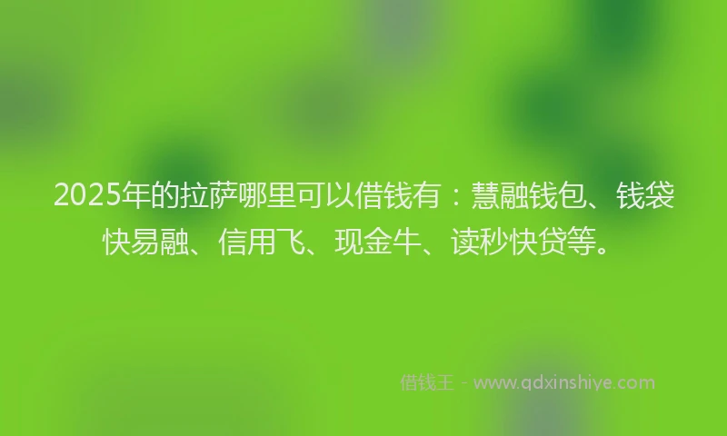 2025年的拉萨哪里可以借钱有：慧融钱包、钱袋快易融、信用飞、现金牛、读秒快贷等。