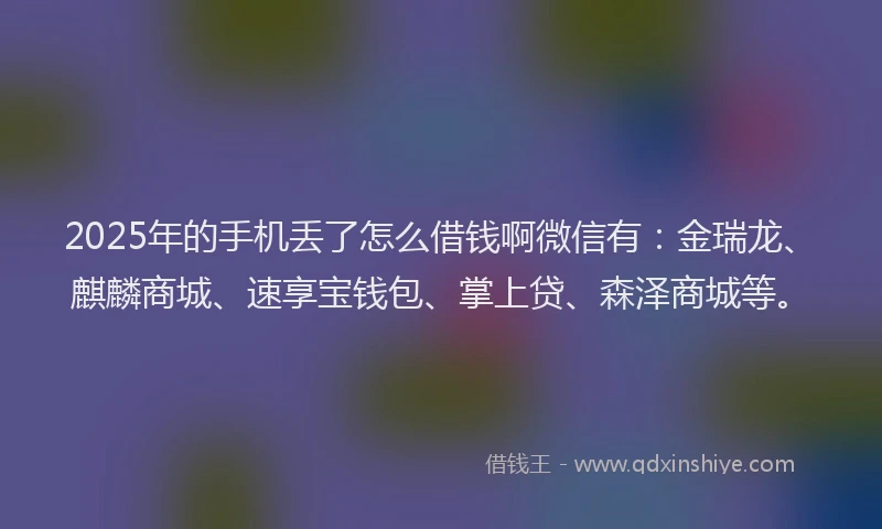 2025年的手机丢了怎么借钱啊微信有：金瑞龙、麒麟商城、速享宝钱包、掌上贷、森泽商城等。
