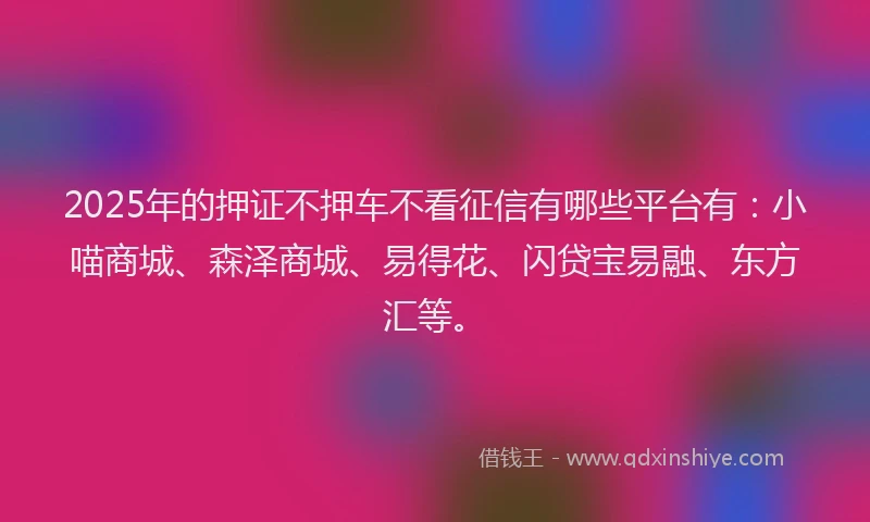 2025年的押证不押车不看征信有哪些平台有：小喵商城、森泽商城、易得花、闪贷宝易融、东方汇等。