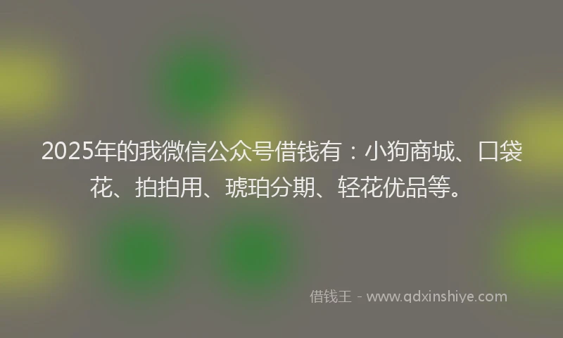2025年的我微信公众号借钱有：小狗商城、口袋花、拍拍用、琥珀分期、轻花优品等。
