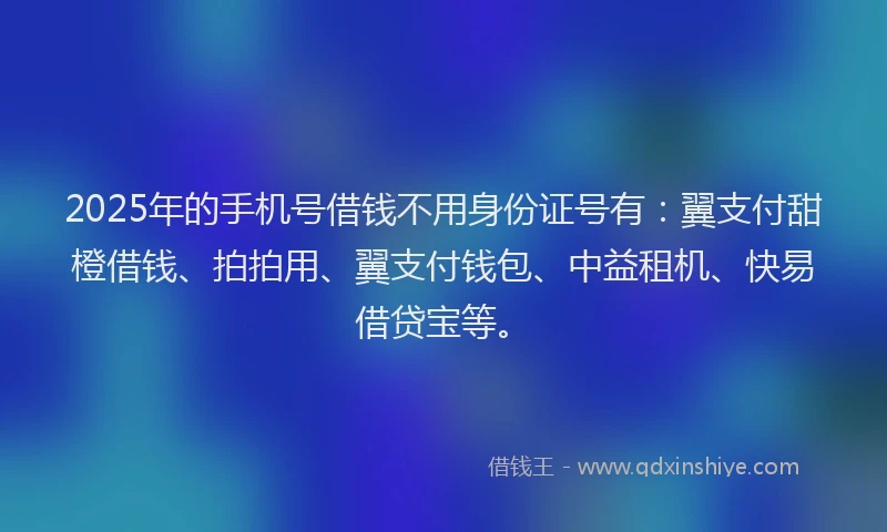 2025年的手机号借钱不用身份证号有：翼支付甜橙借钱、拍拍用、翼支付钱包、中益租机、快易借贷宝等。