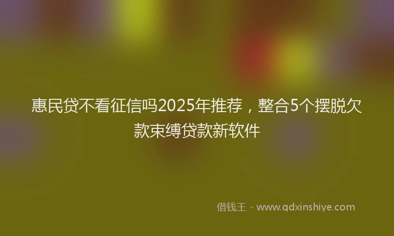 惠民贷不看征信吗2025年推荐，整合5个摆脱欠款束缚贷款新软件