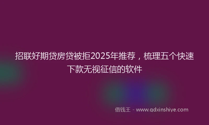 招联好期贷房贷被拒2025年推荐，梳理五个快速下款无视征信的软件