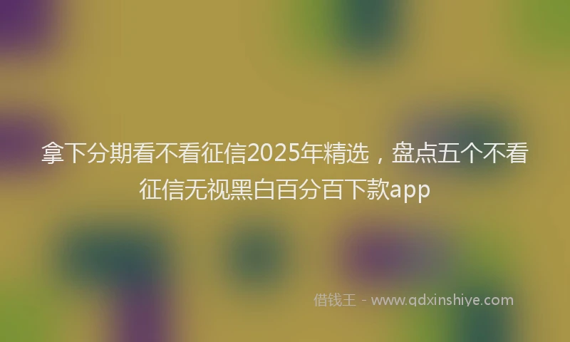 拿下分期看不看征信2025年精选，盘点五个不看征信无视黑白百分百下款app