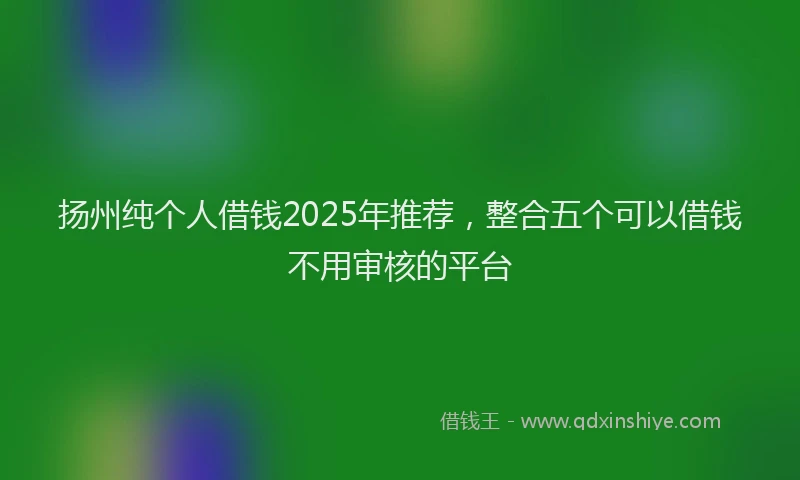 扬州纯个人借钱2025年推荐，整合五个可以借钱不用审核的平台