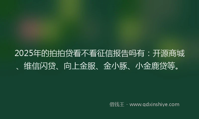 2025年的拍拍贷看不看征信报告吗有：开源商城、维信闪贷、向上金服、金小豚、小金鹿贷等。