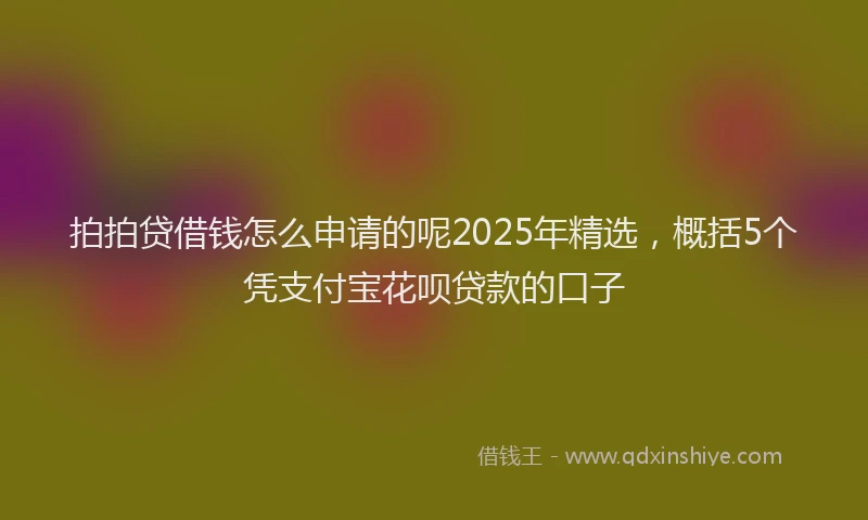 拍拍贷借钱怎么申请的呢2025年精选，概括5个凭支付宝花呗贷款的口子