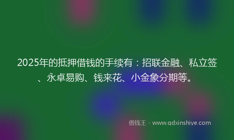 2025年的抵押借钱的手续有：招联金融、私立签、永卓易购、钱来花、小金象分期等。
