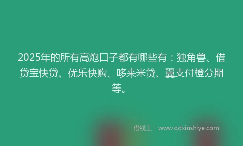 2025年的所有高炮口子都有哪些有：独角兽、借贷宝快贷、优乐快购、哆来米贷、翼支付橙分期等。