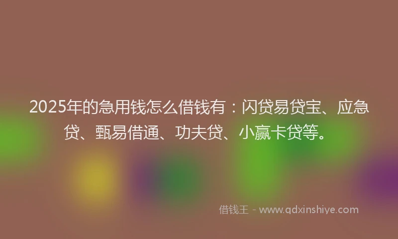 2025年的急用钱怎么借钱有：闪贷易贷宝、应急贷、甄易借通、功夫贷、小赢卡贷等。
