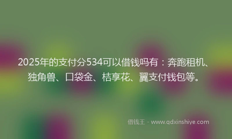 2025年的支付分534可以借钱吗有：奔跑租机、独角兽、口袋金、桔享花、翼支付钱包等。