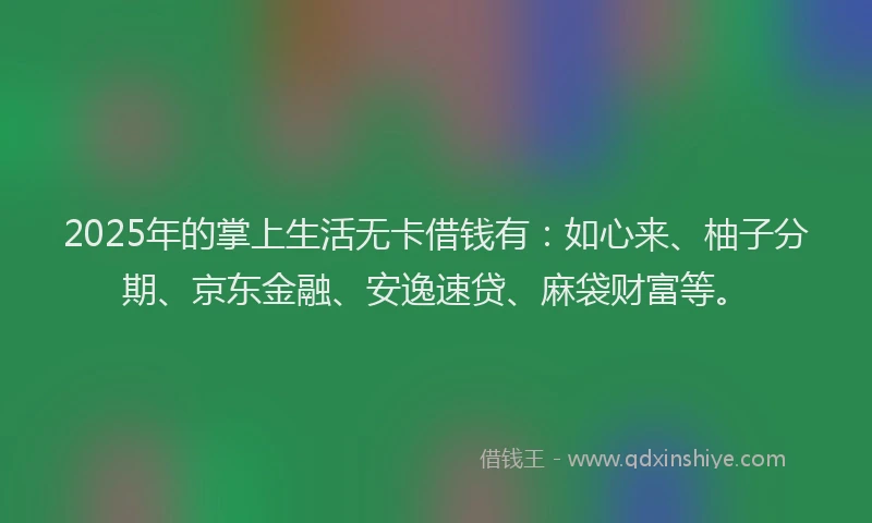 2025年的掌上生活无卡借钱有：如心来、柚子分期、京东金融、安逸速贷、麻袋财富等。