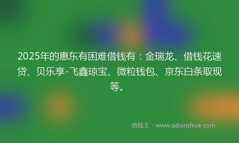 2025年的惠东有困难借钱有：金瑞龙、借钱花速贷、贝乐享-飞鑫琼宝、微粒钱包、京东白条取现等。