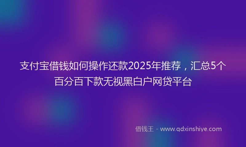 支付宝借钱如何操作还款2025年推荐，汇总5个百分百下款无视黑白户网贷平台