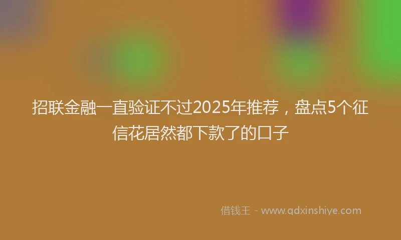 招联金融一直验证不过2025年推荐，盘点5个征信花居然都下款了的口子