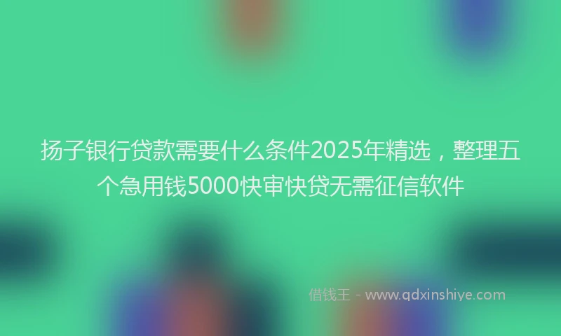扬子银行贷款需要什么条件2025年精选，整理五个急用钱5000快审快贷无需征信软件