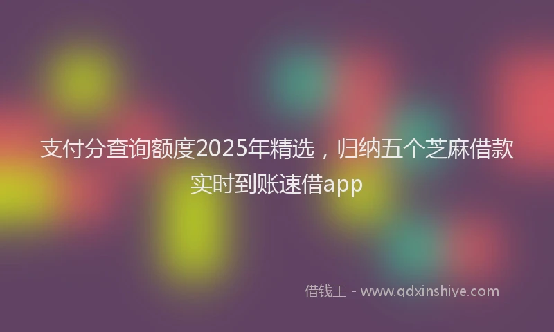 支付分查询额度2025年精选，归纳五个芝麻借款实时到账速借app