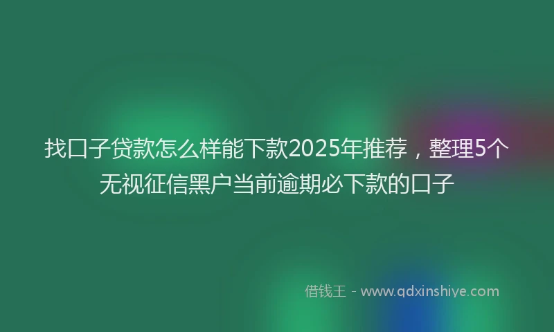 找口子贷款怎么样能下款2025年推荐，整理5个无视征信黑户当前逾期必下款的口子