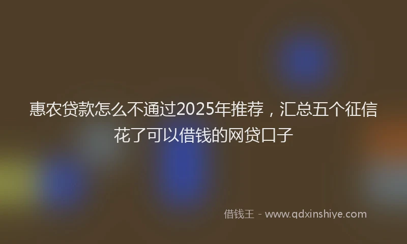 惠农贷款怎么不通过2025年推荐，汇总五个征信花了可以借钱的网贷口子