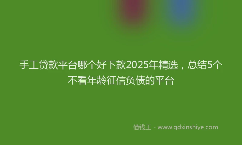手工贷款平台哪个好下款2025年精选，总结5个不看年龄征信负债的平台