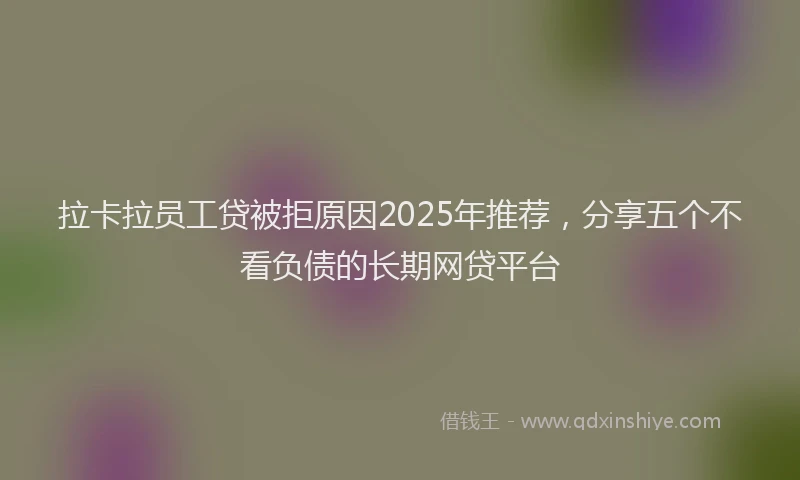 拉卡拉员工贷被拒原因2025年推荐，分享五个不看负债的长期网贷平台