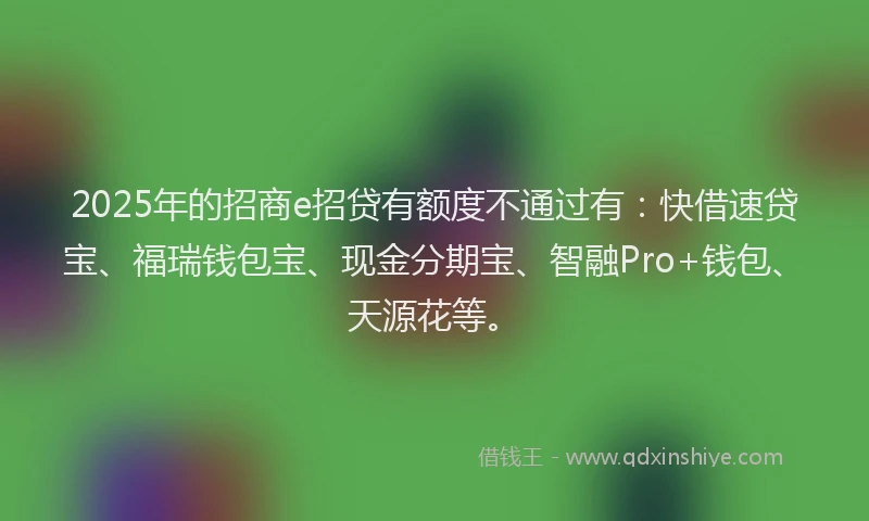 2025年的招商e招贷有额度不通过有：快借速贷宝、福瑞钱包宝、现金分期宝、智融Pro+钱包、天源花等。