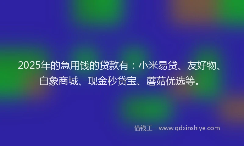 2025年的急用钱的贷款有：小米易贷、友好物、白象商城、现金秒贷宝、蘑菇优选等。
