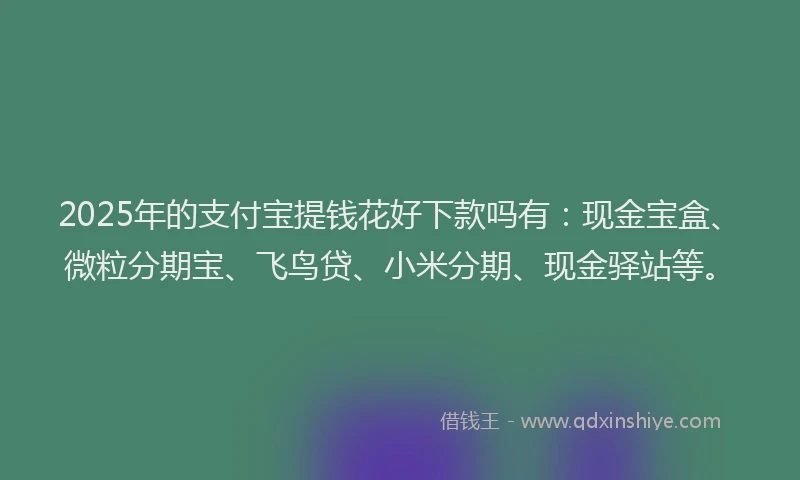2025年的支付宝提钱花好下款吗有：现金宝盒、微粒分期宝、飞鸟贷、小米分期、现金驿站等。
