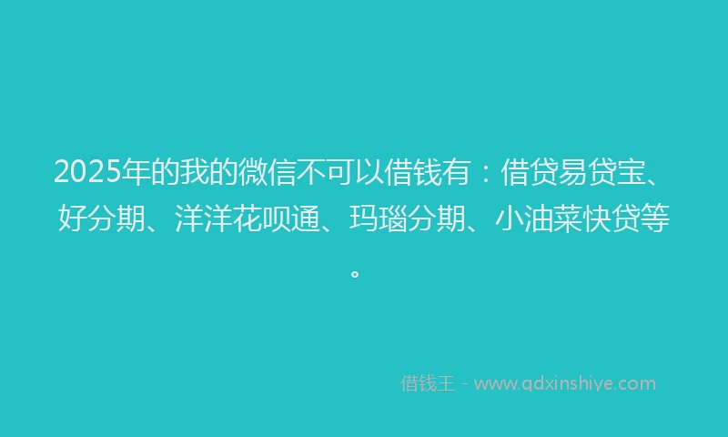 2025年的我的微信不可以借钱有：借贷易贷宝、好分期、洋洋花呗通、玛瑙分期、小油菜快贷等。