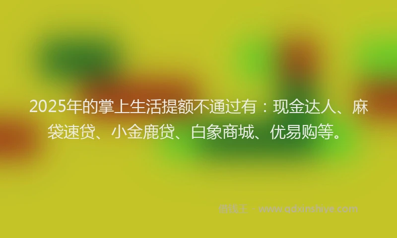 2025年的掌上生活提额不通过有：现金达人、麻袋速贷、小金鹿贷、白象商城、优易购等。