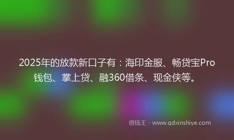 2025年的放款新口子有：海印金服、畅贷宝Pro钱包、掌上贷、融360借条、现金侠等。