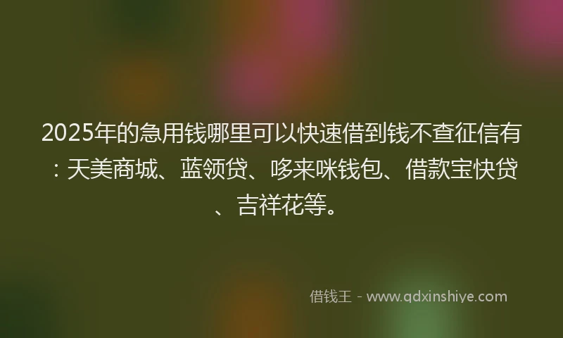 2025年的急用钱哪里可以快速借到钱不查征信有：天美商城、蓝领贷、哆来咪钱包、借款宝快贷、吉祥花等。