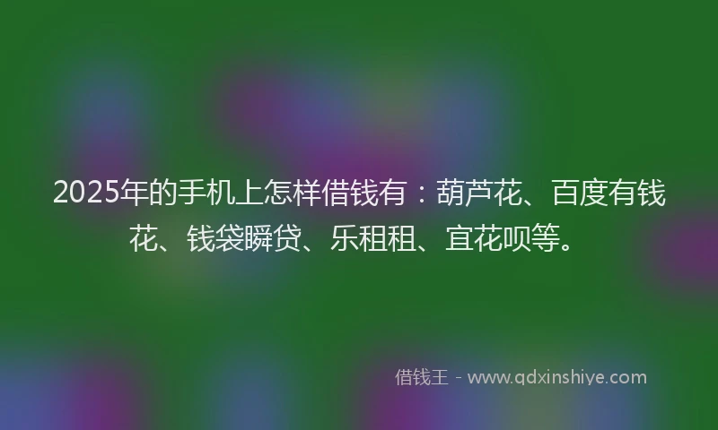 2025年的手机上怎样借钱有：葫芦花、百度有钱花、钱袋瞬贷、乐租租、宜花呗等。