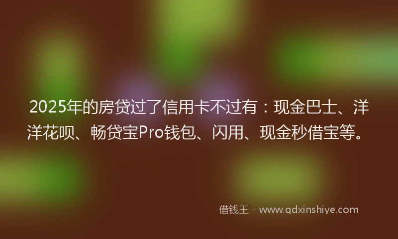 2025年的房贷过了信用卡不过有：现金巴士、洋洋花呗、畅贷宝Pro钱包、闪用、现金秒借宝等。
