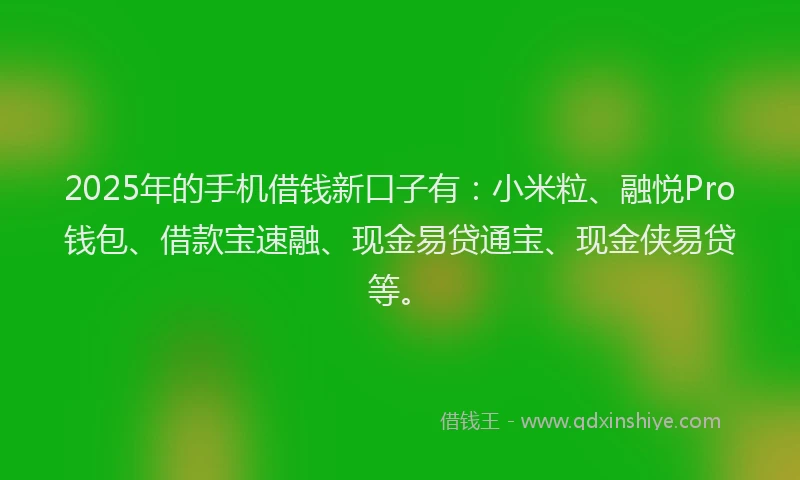 2025年的手机借钱新口子有：小米粒、融悦Pro钱包、借款宝速融、现金易贷通宝、现金侠易贷等。