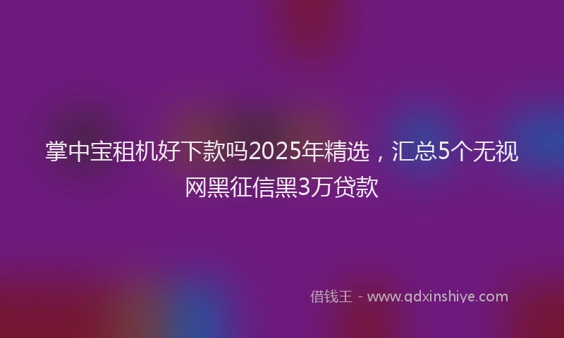 掌中宝租机好下款吗2025年精选，汇总5个无视网黑征信黑3万贷款