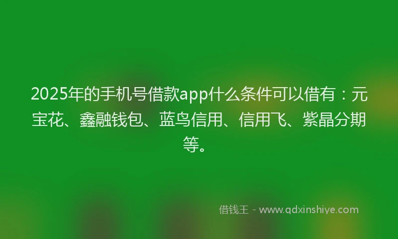 2025年的手机号借款app什么条件可以借有：元宝花、鑫融钱包、蓝鸟信用、信用飞、紫晶分期等。