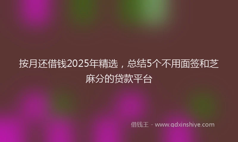 按月还借钱2025年精选，总结5个不用面签和芝麻分的贷款平台
