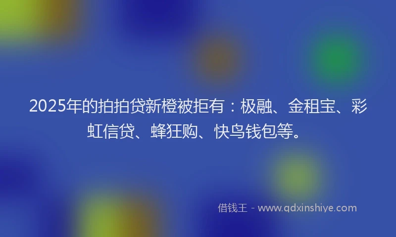 2025年的拍拍贷新橙被拒有：极融、金租宝、彩虹信贷、蜂狂购、快鸟钱包等。