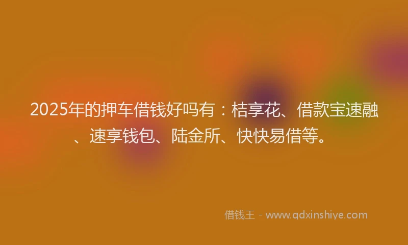 2025年的押车借钱好吗有：桔享花、借款宝速融、速享钱包、陆金所、快快易借等。