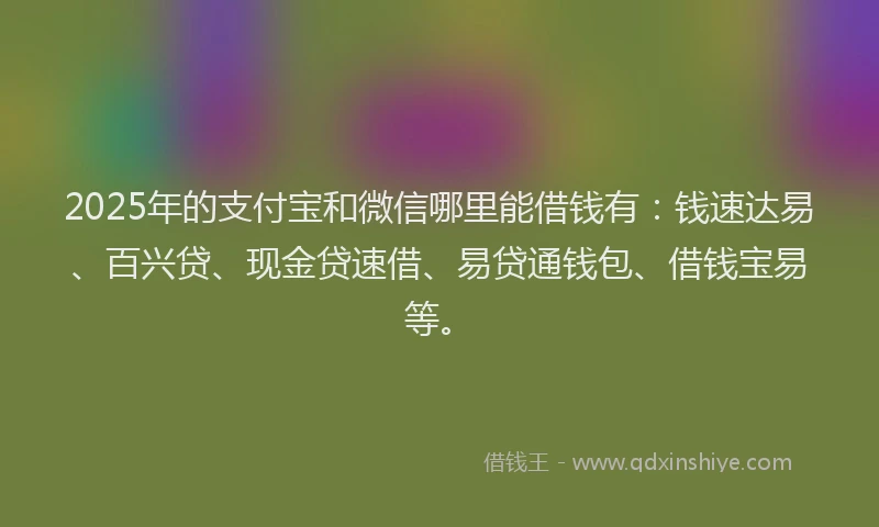 2025年的支付宝和微信哪里能借钱有：钱速达易、百兴贷、现金贷速借、易贷通钱包、借钱宝易等。