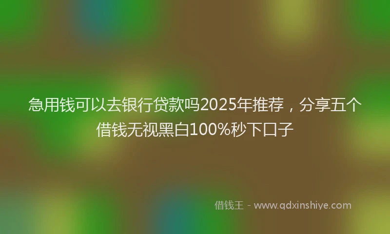 急用钱可以去银行贷款吗2025年推荐，分享五个借钱无视黑白100%秒下口子