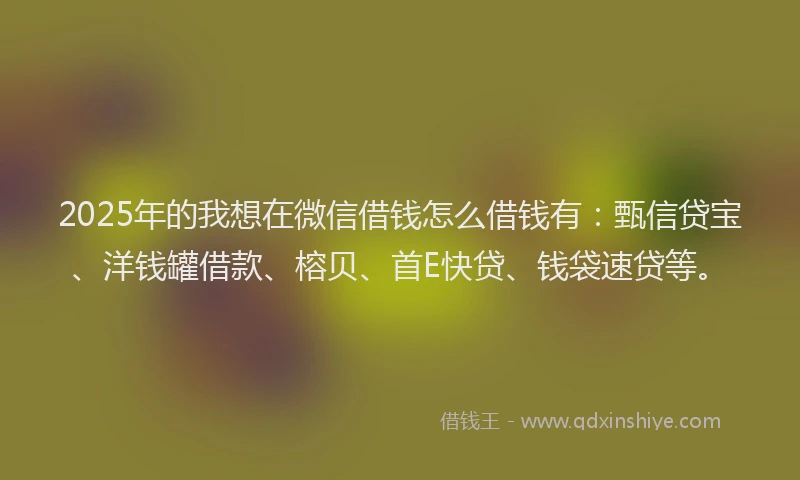 2025年的我想在微信借钱怎么借钱有：甄信贷宝、洋钱罐借款、榕贝、首E快贷、钱袋速贷等。