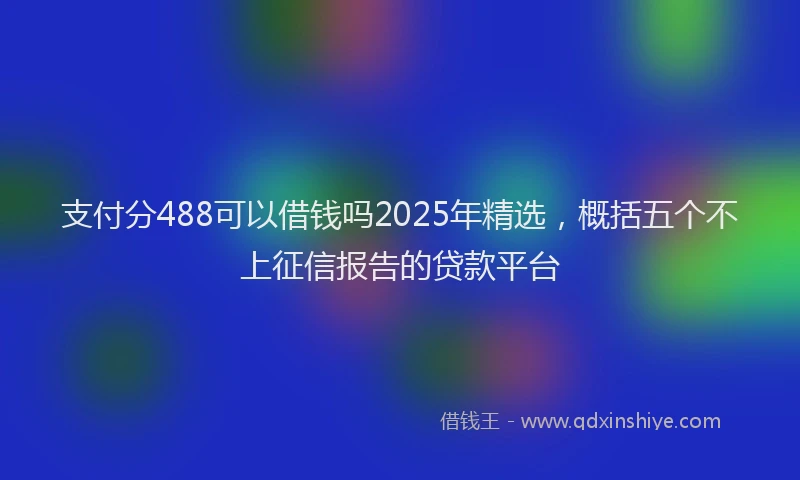 支付分488可以借钱吗2025年精选，概括五个不上征信报告的贷款平台