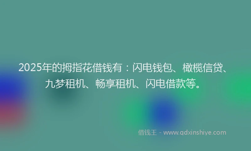 2025年的拇指花借钱有：闪电钱包、橄榄信贷、九梦租机、畅享租机、闪电借款等。